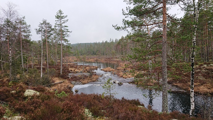 Fra Ankerfjella i Aremark